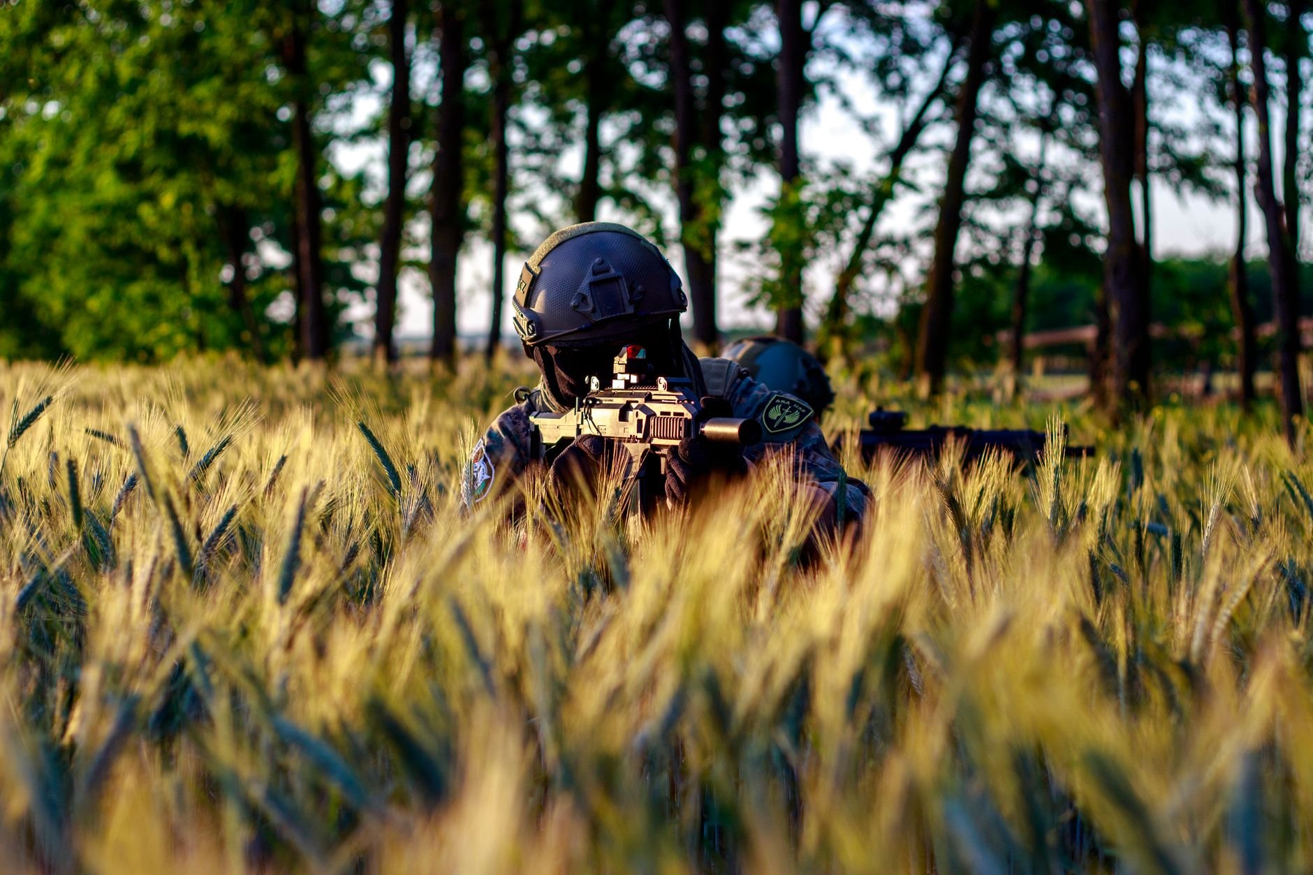 Person in tactical gear aiming airsoft gun in wheat field on sunny day.